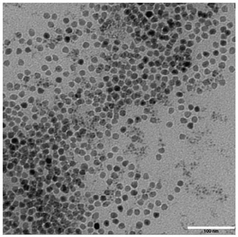 TEM photos of γ-Fe2O3 nano-particle. The synthesized γ-Fe2O3... | Download Scientific Diagram