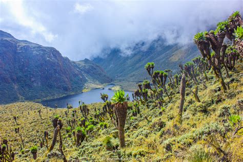 Lake Bujuku- Hiking Mount Rwenzori National Park, Bujuku River, 3 Days