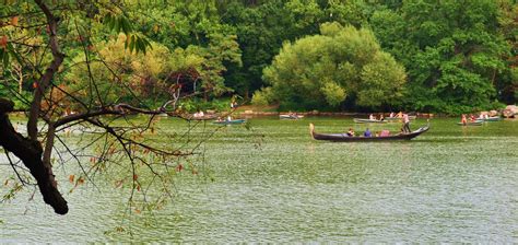 Photo entry: boating at central park