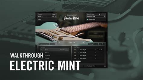 SESSION GUITARIST – ELECTRIC MINT Walkthrough | Native Instruments ...