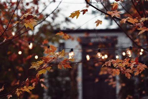 Autumn Vibes | Pinterest: xchxara ∆ | Autumn, Fall + | Autumn aesthetic, Autumn poems, Autumn cozy