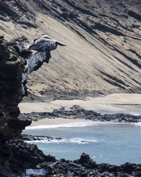 A Volcanic Landscape - Bartolome Island | Not Your Average American