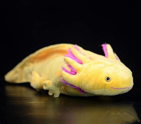 Yellow Axolotl