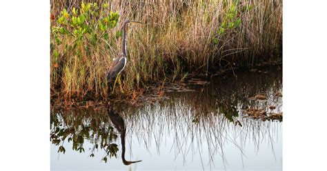 Canaveral National Seashore | Parks & Travel Magazine