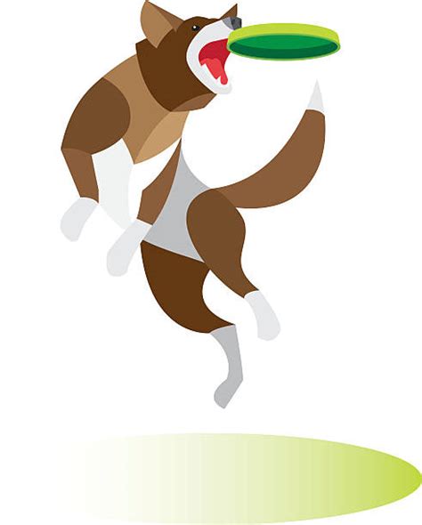 Royalty Free Dog Jump Clip Art, Vector Images & Illustrations - iStock