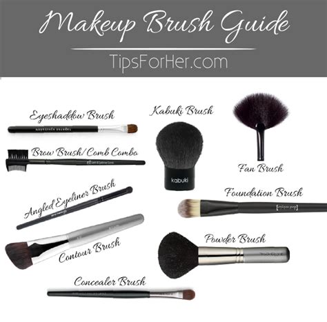 Makeup Brush Guide