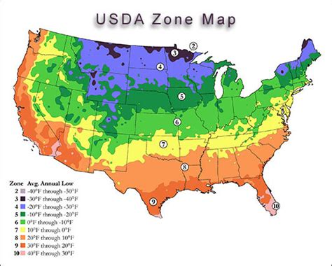 USDA Plant Hardiness Zones