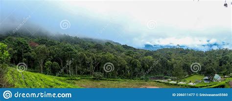 Panorama View Munnar Garden and Tea Plantation . Tea Plantations in Munnar, Kerala, India Stock ...