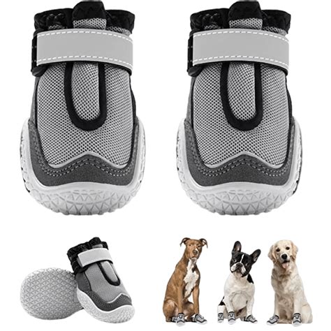 7 Best Dog Shoes For Hot Pavement in The Summer | Reviews