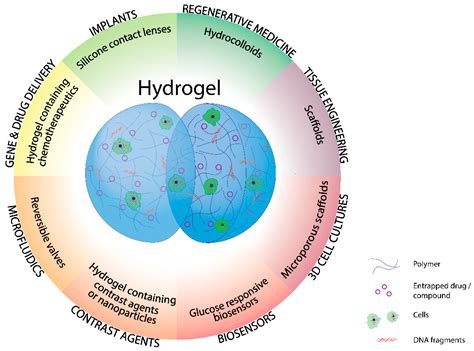 Pharmaceutics | Free Full-Text | Hydrogels Based Drug Delivery ...