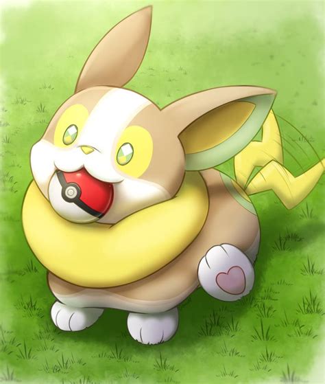 when does yamper evolve in pokemon sword and shield - jc-mezquita