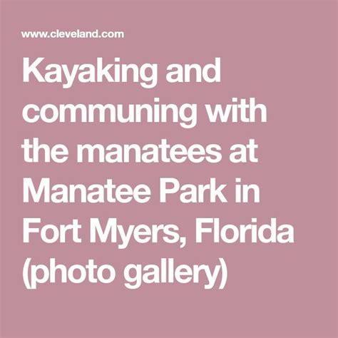 Kayaking and communing with the manatees at Manatee Park in Fort Myers ...