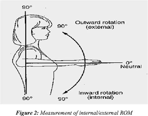 Figure 1 from A Comparison of Internal/External Rotation Strength and ...