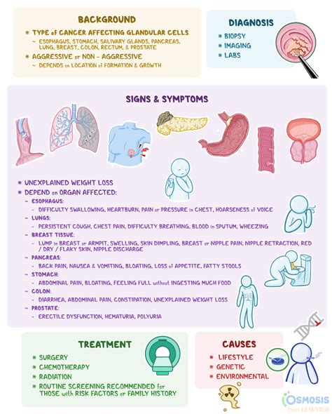 Adenocarcinoma: What Is It, Causes, Signs | Osmosis