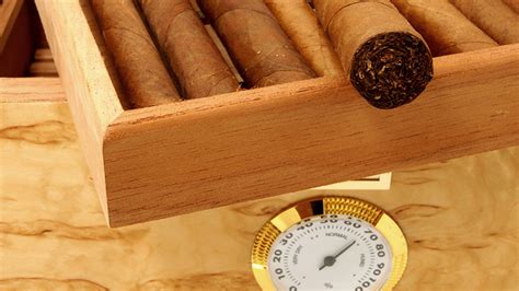 How to Store Cigars Properly - Eighty5 Cigars by Ochocinco