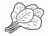 Pin On Ingredients  Vegetables sketch template