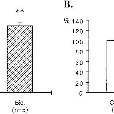 Effects of bicuculline treatment on GABA immunoreactivity. A, C,... | Download Scientific Diagram