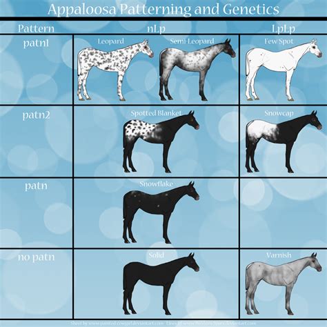 Appaloosa Patterns Genetics Sheet by painted-cowgirl on DeviantArt