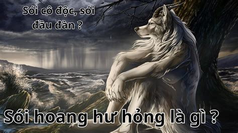 "Sói hoang hư hỏng, sói cô độc" là gì ? | Giải thích meme - YouTube