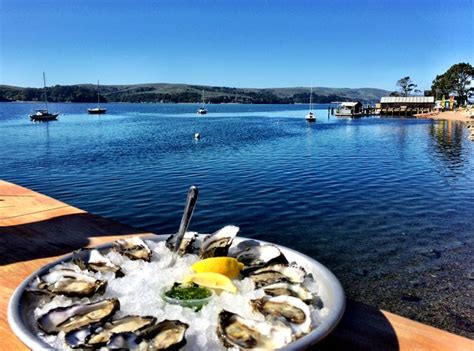 Oysters from The Marshall Store. Tomales Bay, California | Explore california, Tomales bay ...