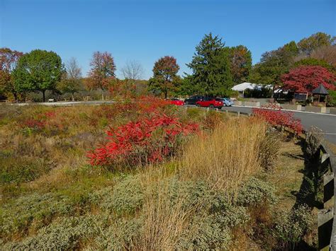 Park in Full Fall Colors – Friends of Wolf Trap