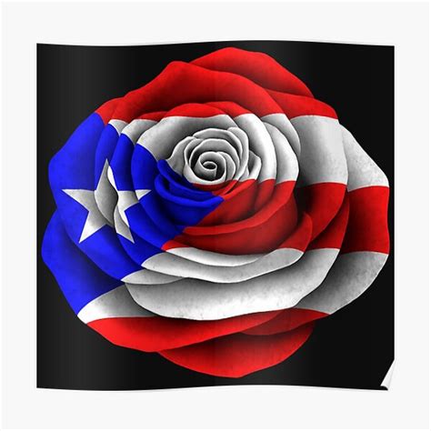 "Puerto Rico Flag Rose with Pride and Patriotic" Poster for Sale by ...