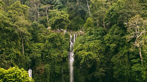 Air Terjun di Bali: 6 Destinasi Menakjubkan Untuk Liburan Anda