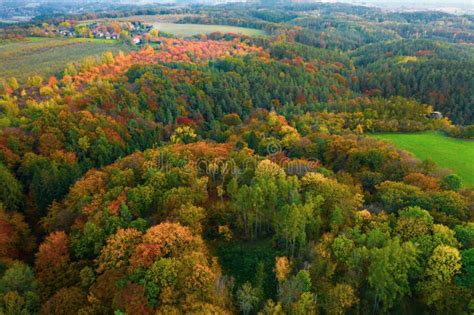 Autumn Colorful Trees at Sunrise Aerial View Stock Photo - Image of ...