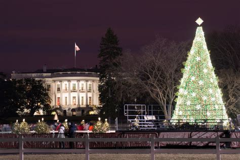 Snow in D.C.: What to do in the nation’s capital during the winter - Curbed DC