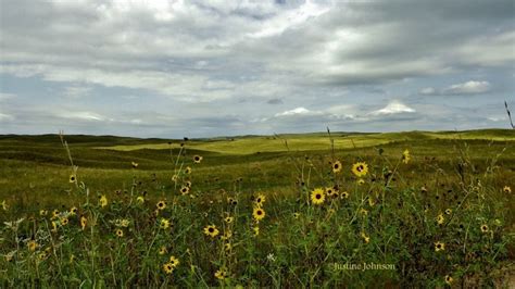 Nebraska Sandhills | Nebraska sandhills, Nebraska, Sandhills