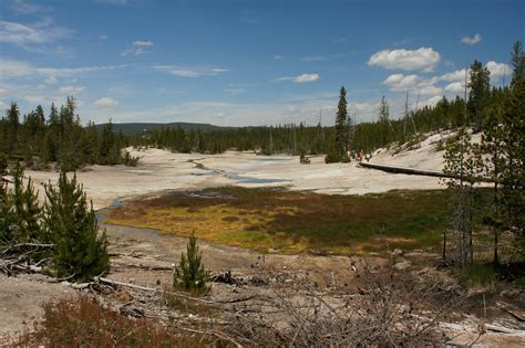 Norris Geyser Basin | The Norris Geyser Basin is the hottest… | Flickr