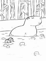 Capybara Coloring Page Pages  Vrogueco sketch template