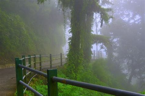 Mussoorie Weather And Best Time To Visit Mussoorie (2024)