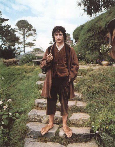 Frodo - Lord of the Rings Photo (10885255) - Fanpop