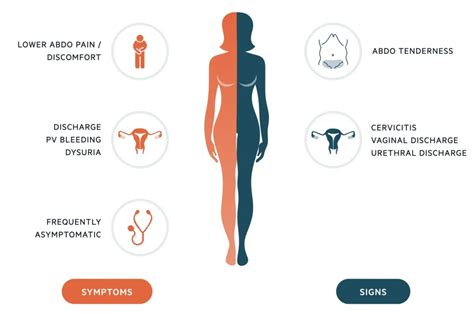 Chlamydia Complications In Men - Chlamydia Trachomatis