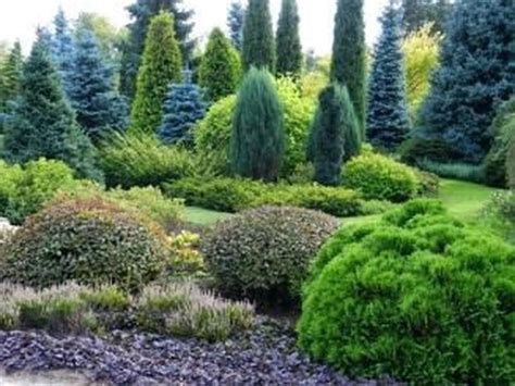 33 Wonderful Evergreen Landscape Ideas For Front Yard - MAGZHOUSE