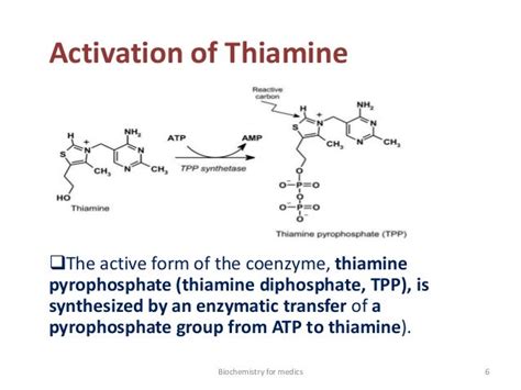 Thiamine