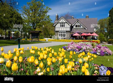 A scenic photo in Christchurch, New Zealand of the spring flowers in ...