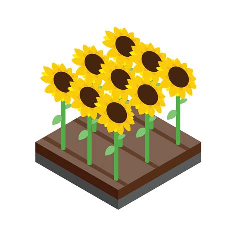 Sunflower field isometric 3d icon 14154021 Vector Art at Vecteezy