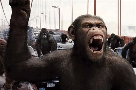 Monkey experiment movies will make you more terrified of the news