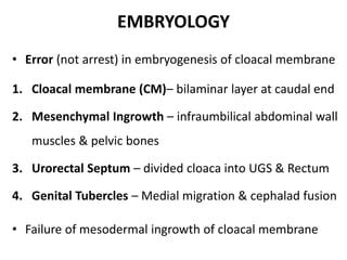 Bladder Exstrophy Embryology