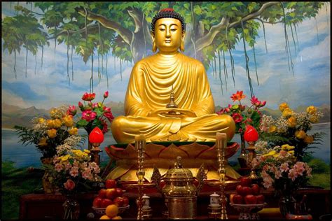 Hình nền Gautam Buddha - Top Những Hình Ảnh Đẹp