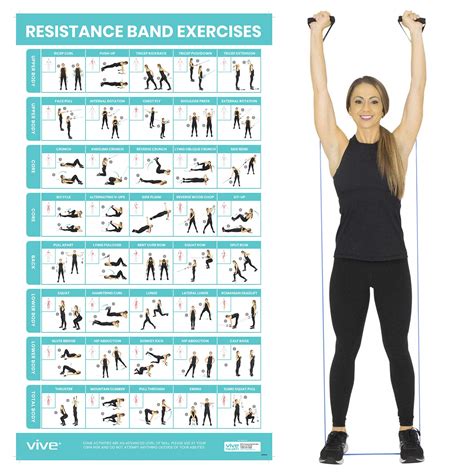 Buy Vive Resistance Band Workout - Laminated Bodyweight Hitt Exercise Chart for Abs, Glute, Back ...