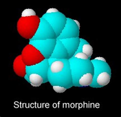 Structure of morphine – David Bradley