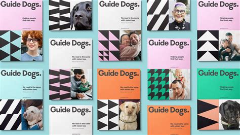 Guide Dogs Australia reveals new branding to strengthen national presence