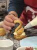 How to make choux pastry swans - Eat Cook Explore