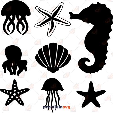 Sea Creatures SVG Files, Clipart & Vectors | PremiumSVG