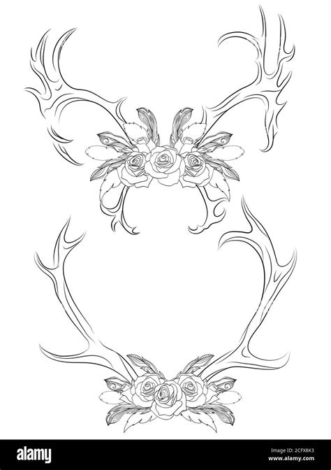 Set of contour illustrations deer antlers with roses and feathers. Boho. Vector element for your ...