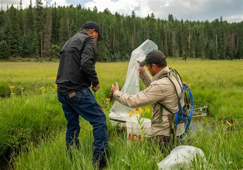 The True Cast - Is It About Fishing Or Conservation? - Trout Unlimited