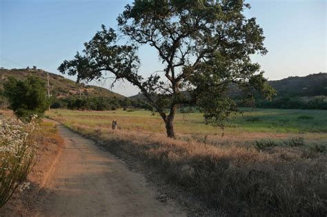 Valley Center CA Land for Sale - Red Hawk Realty